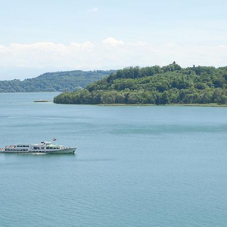 Alpes Et Lac La Neuveville Luaran gambar