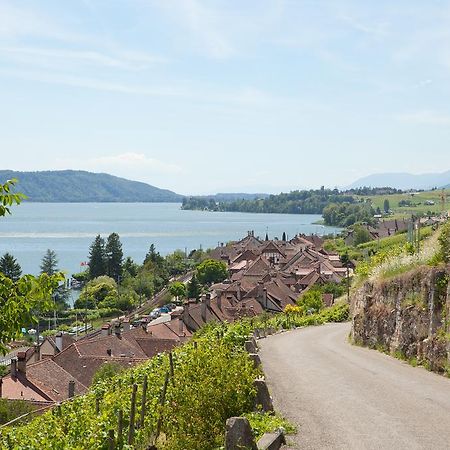 Alpes Et Lac La Neuveville Luaran gambar