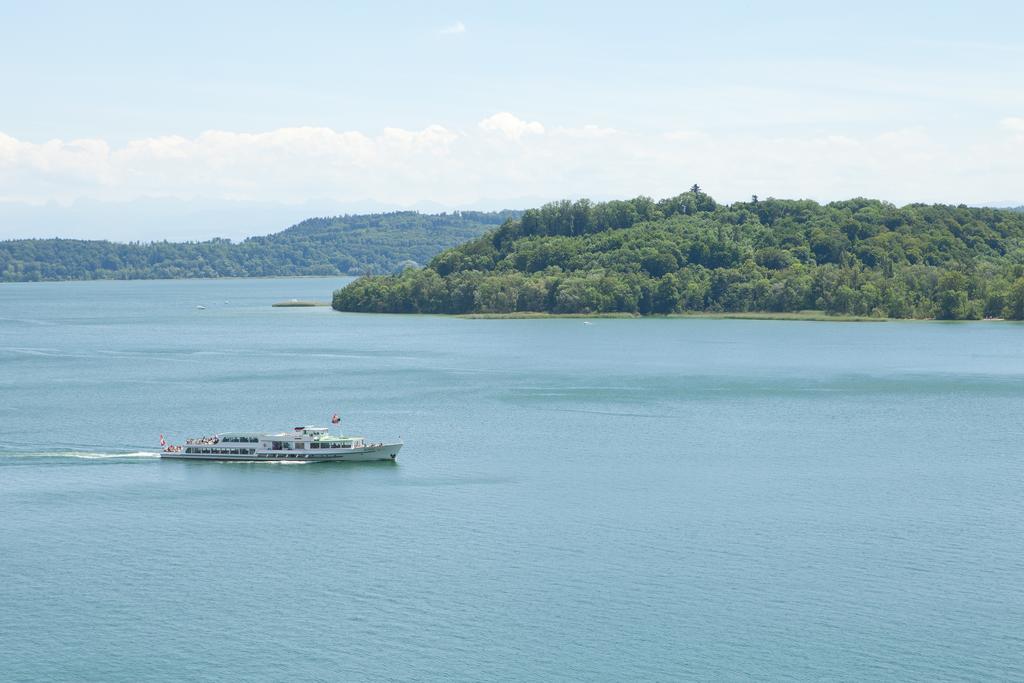 Alpes Et Lac La Neuveville Luaran gambar