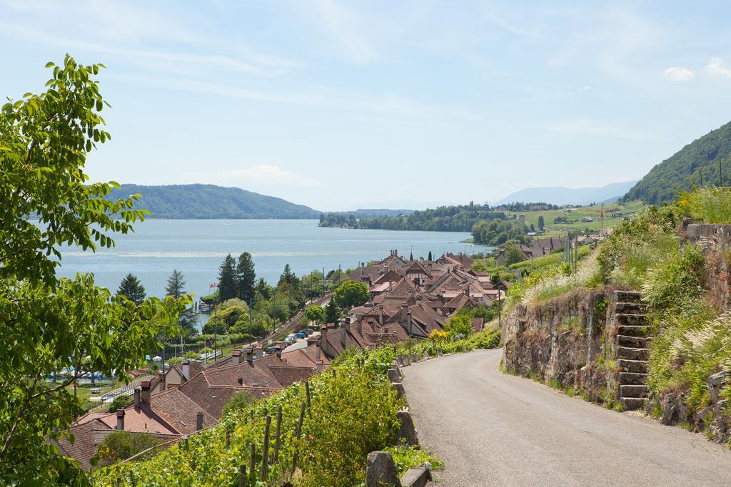 Alpes Et Lac La Neuveville Luaran gambar