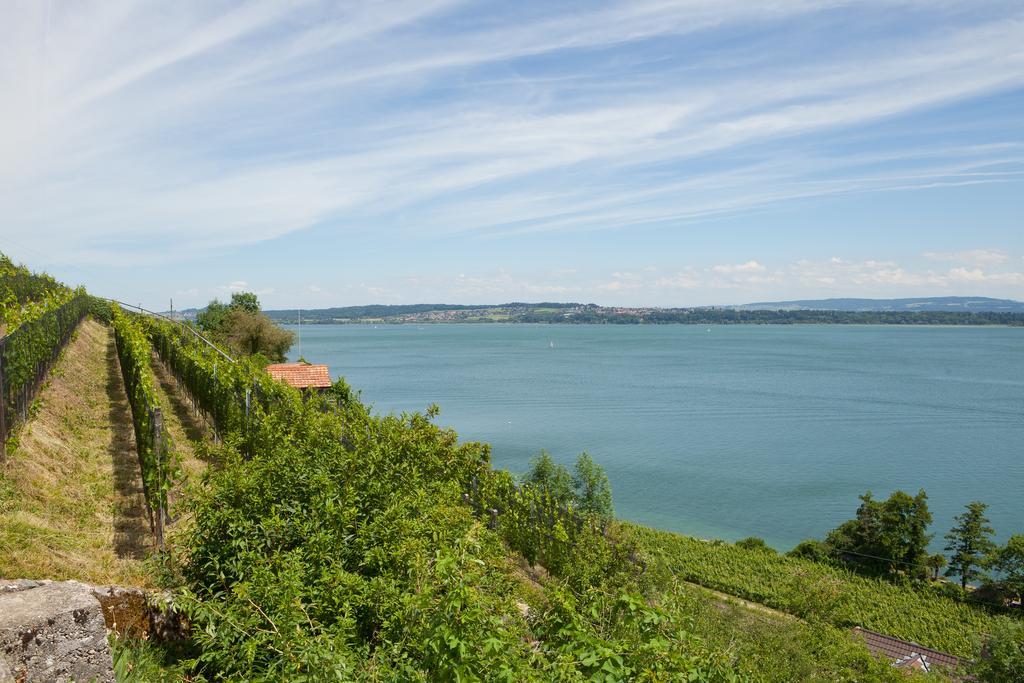 Alpes Et Lac La Neuveville Luaran gambar